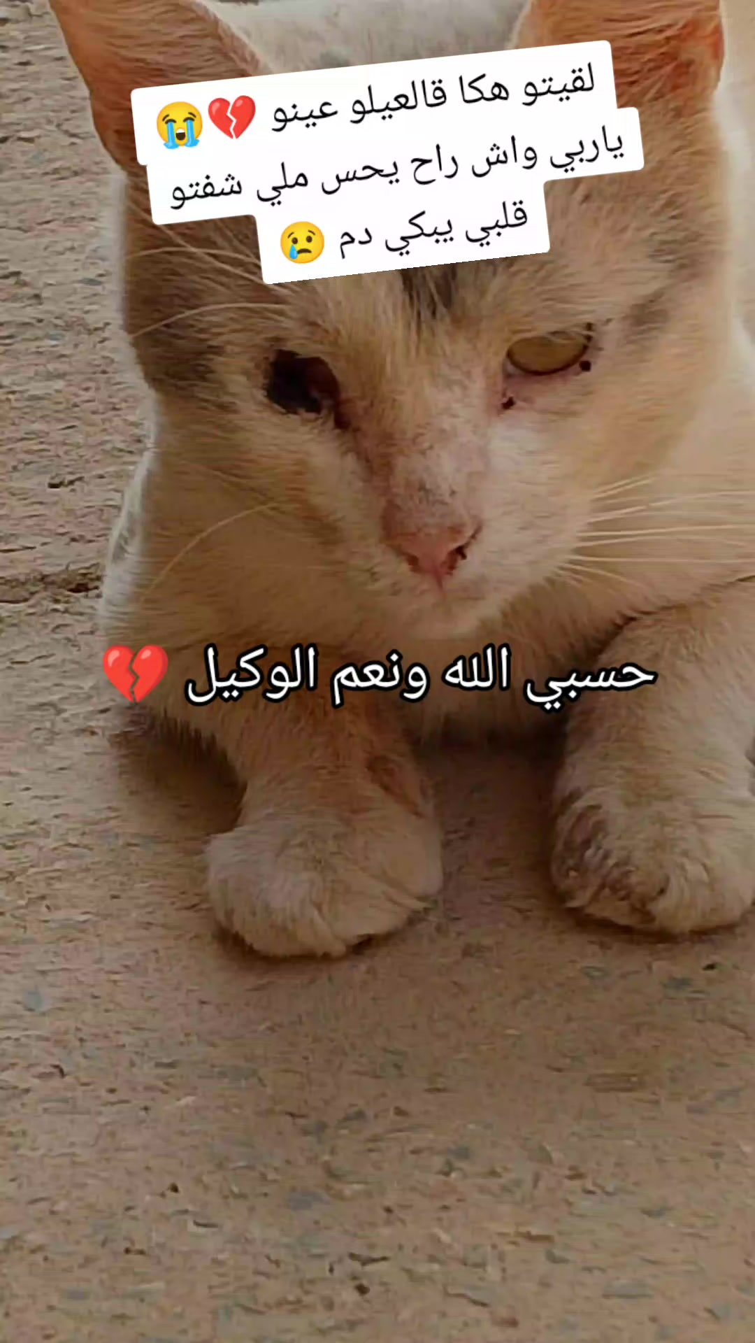 @khadidja khadidja