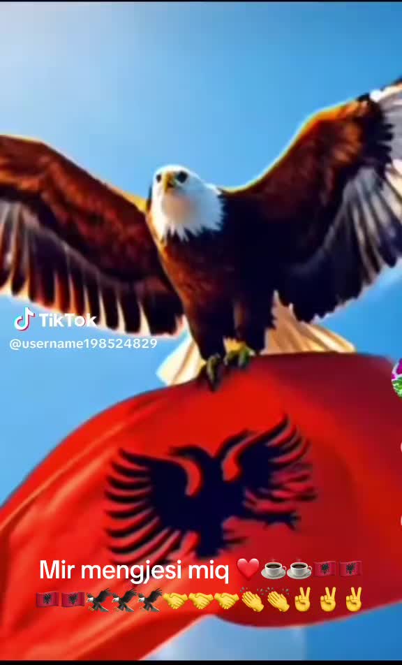 @elezleka787
