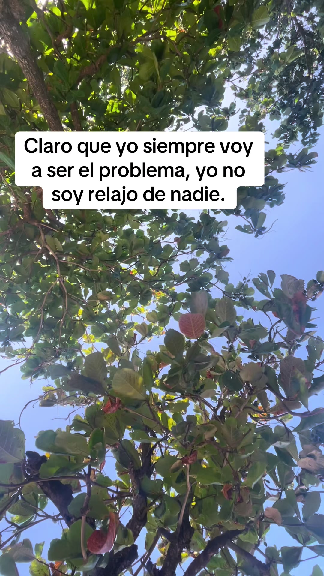 @Danny Espinal