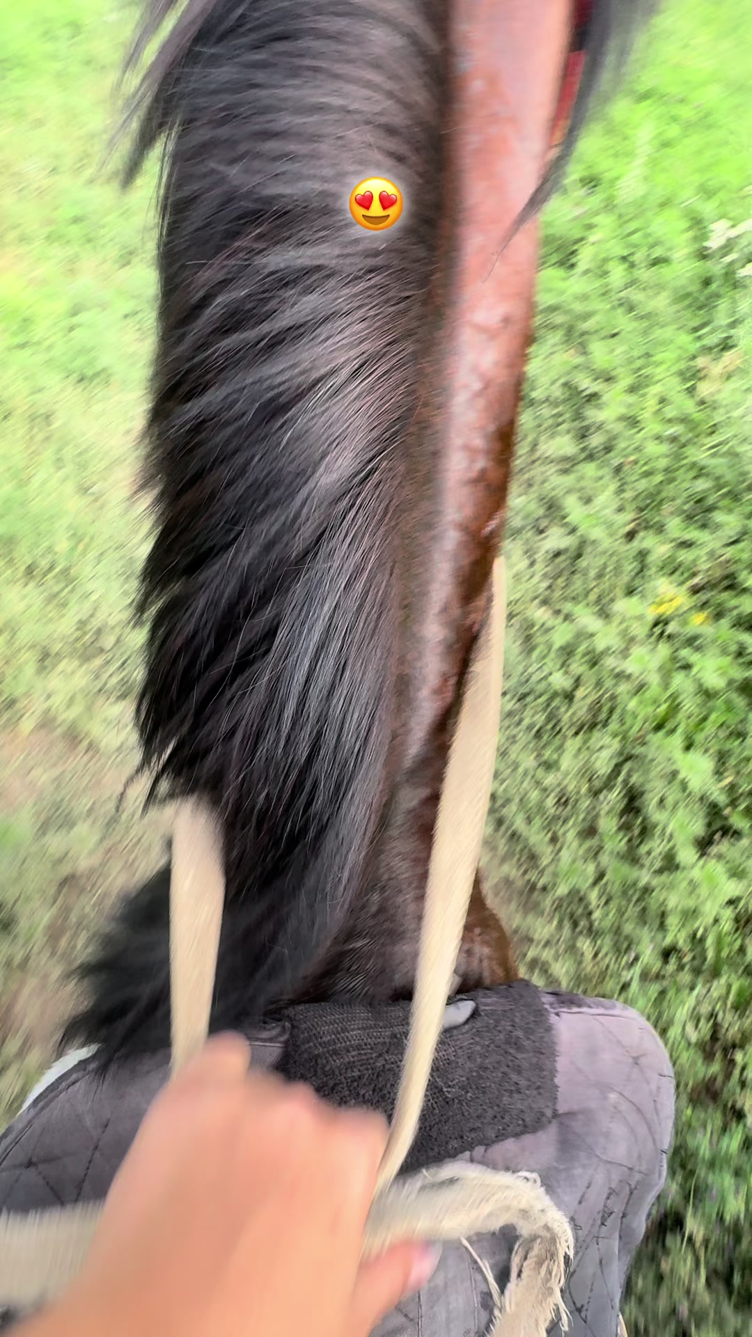 @🐎Ева🐎