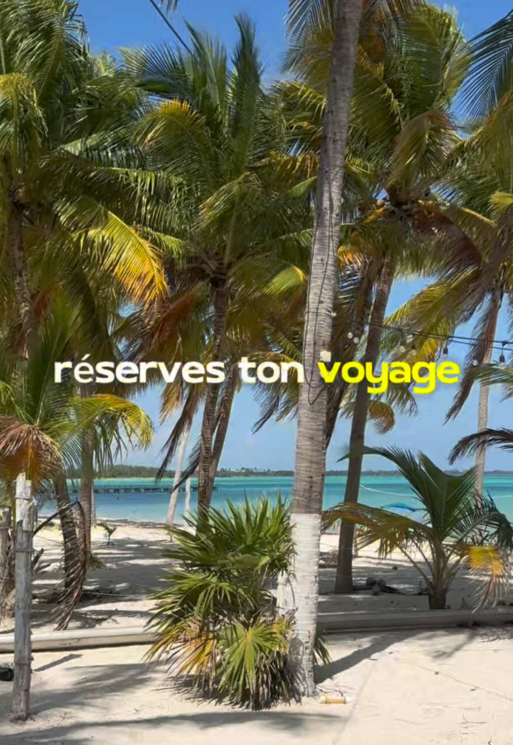 @xamanexperience