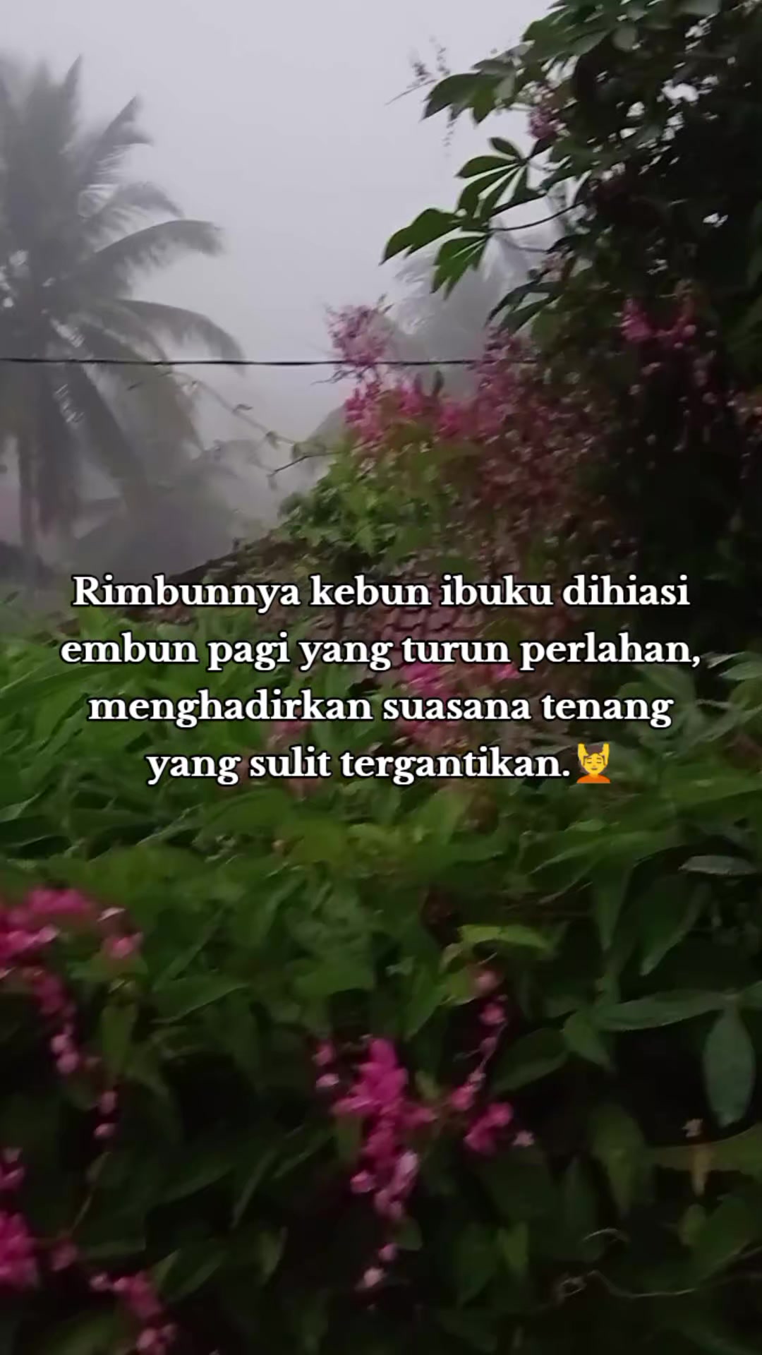 @Rizqi