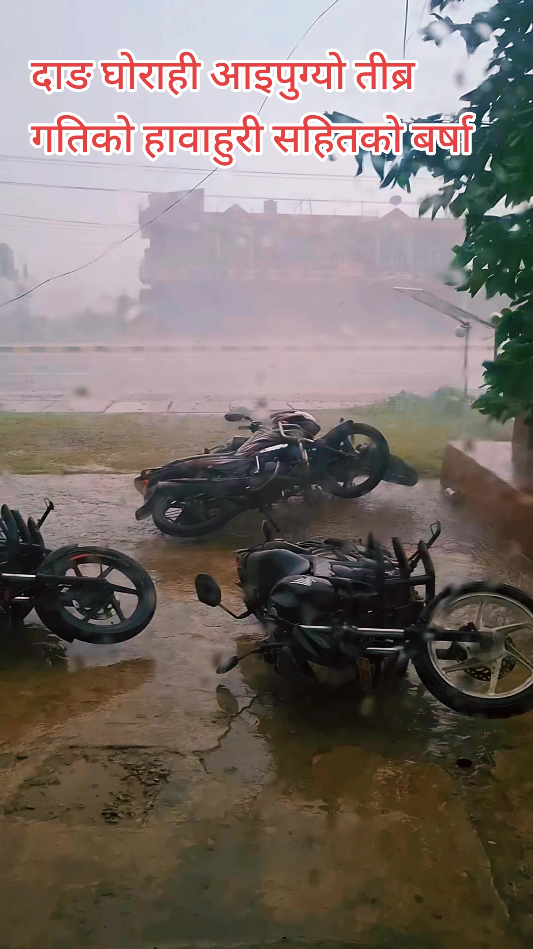 @निजामती😘