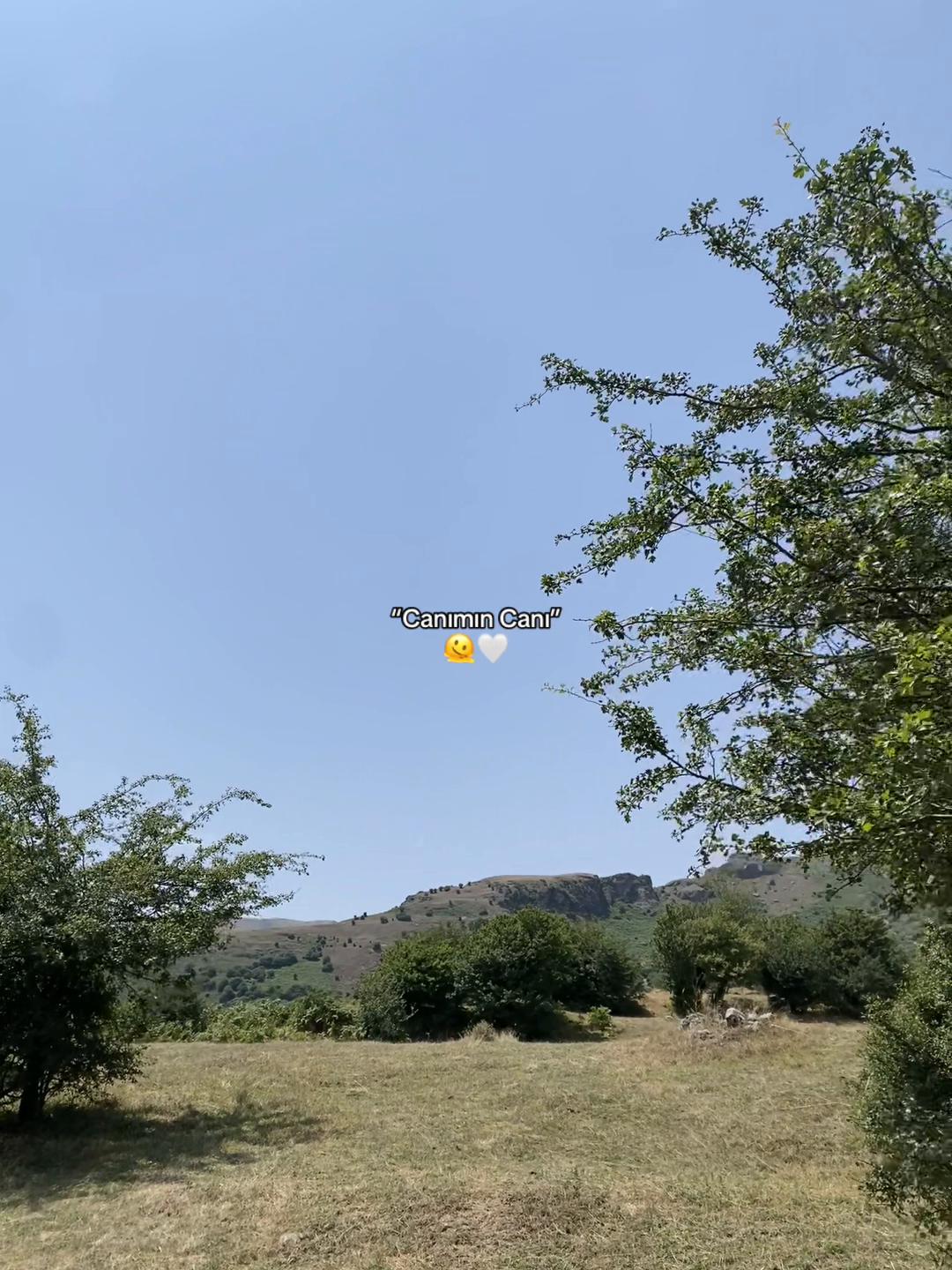 @𝐅𝐚𝐦𝐢𝐥❤️&zwj;🩹🩹