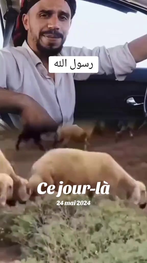 @𖣘 Dāŀĩ 𖣘