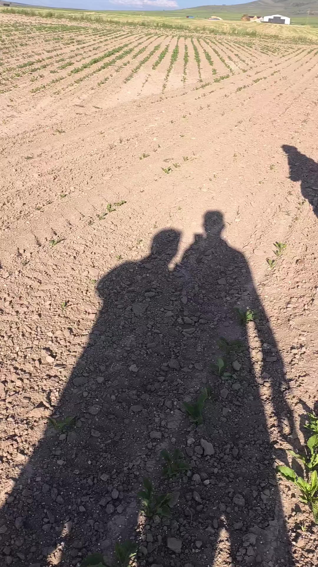 @T&uuml;rki Korak