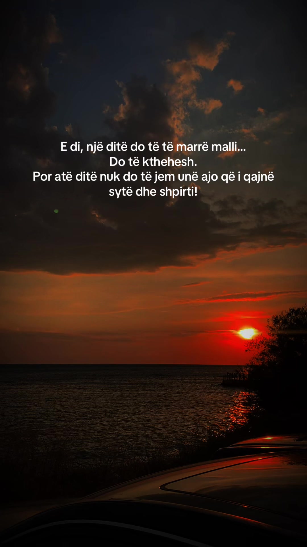 @seele_books