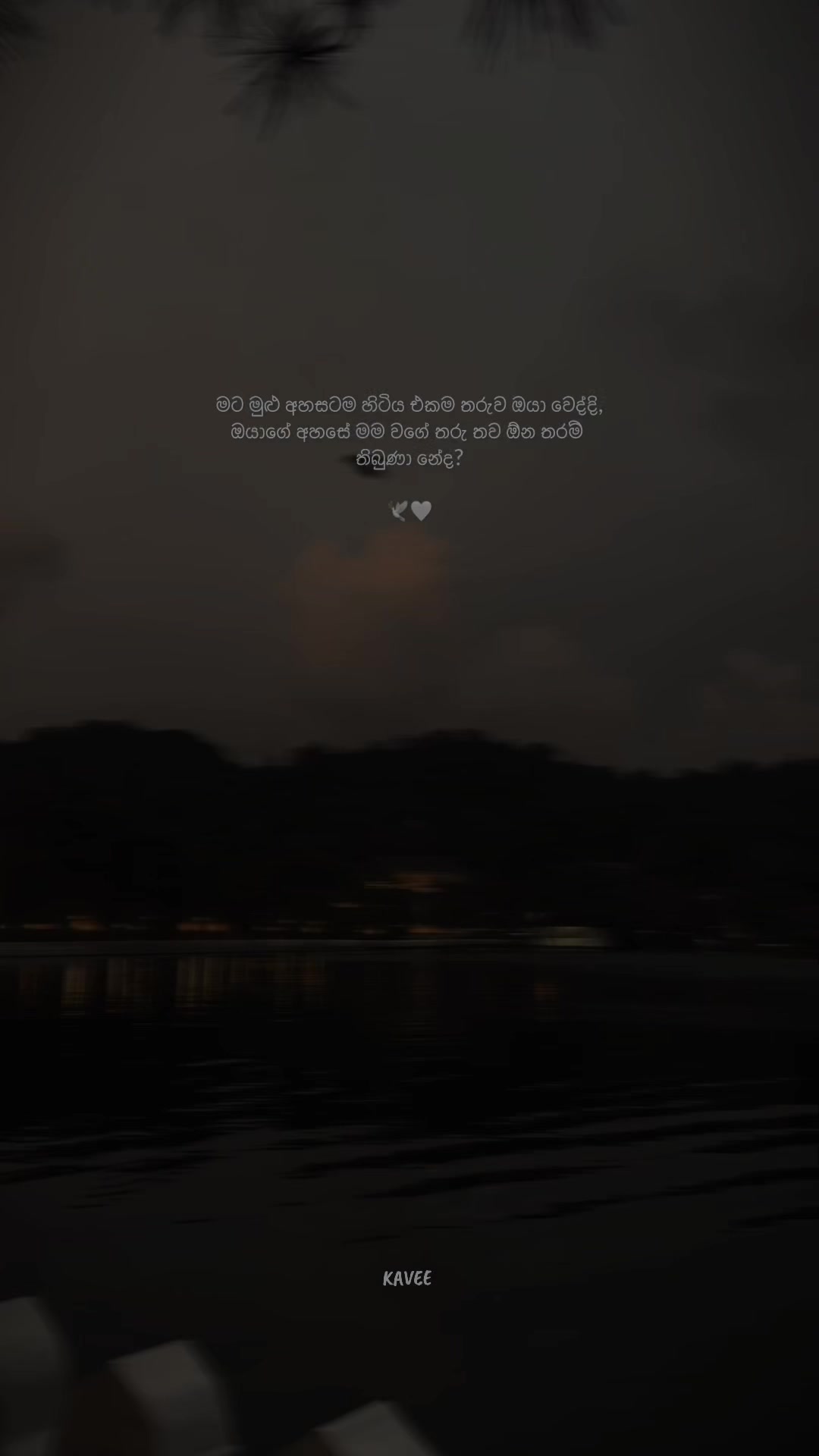 @𝑲 𝑨 𝑽 𝑬 𝑬 🪼