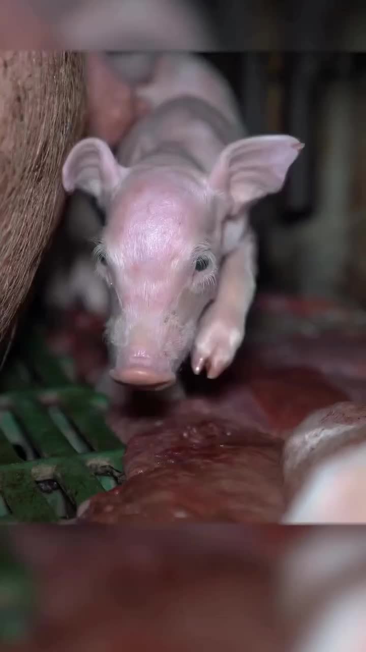 @ru.goodorevil