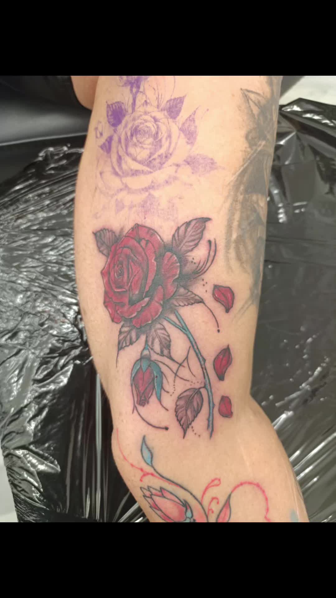 @Haven Ink Girvan