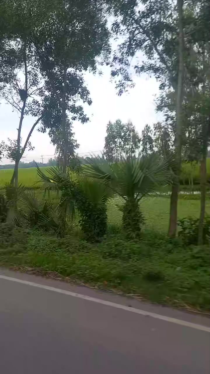 @🌹👌👌বিউটিফুল