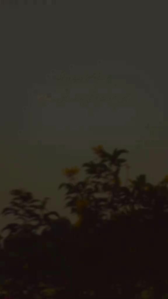 @Tayyab Khan