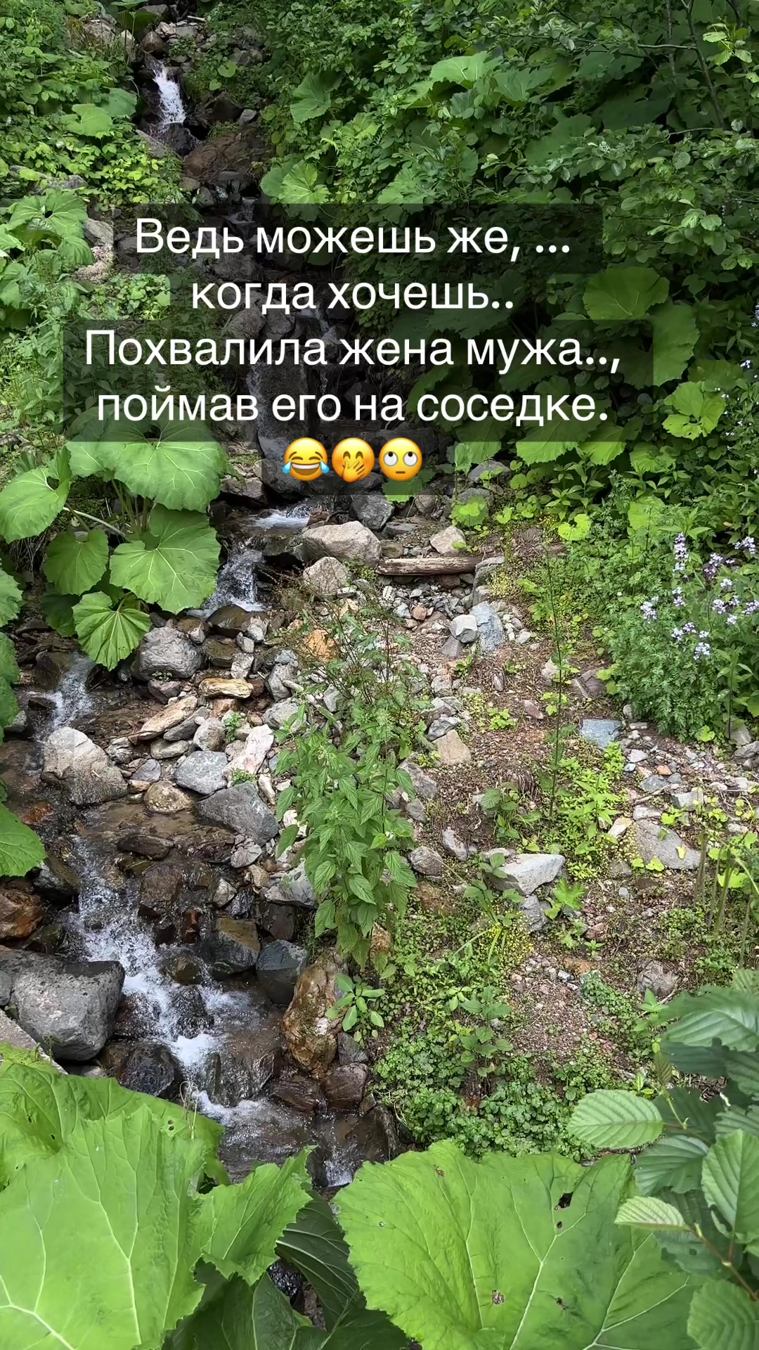 @👑АрИсТоКрАтКа👑