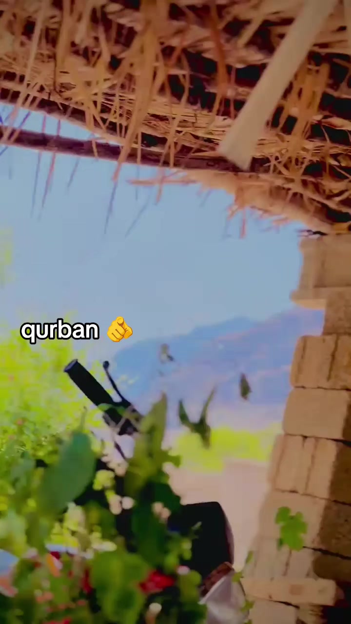 @🦋Yar باشT👬L🦋