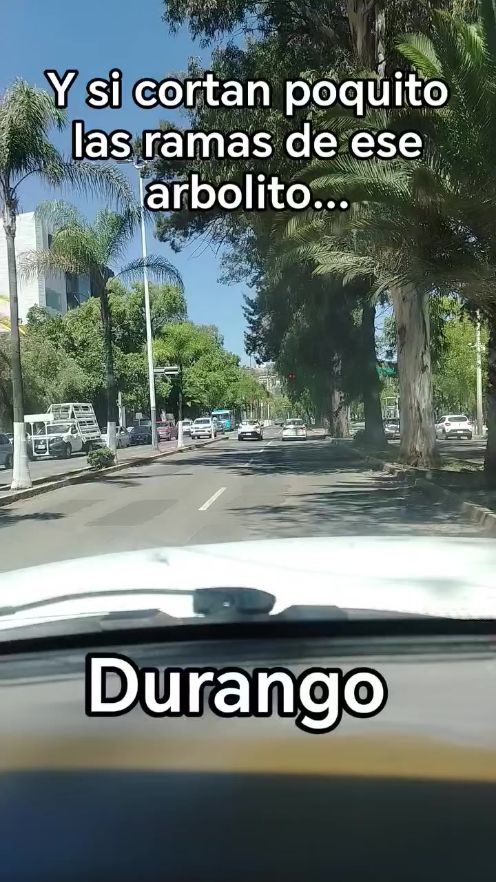 @Yessi Ayala🌟