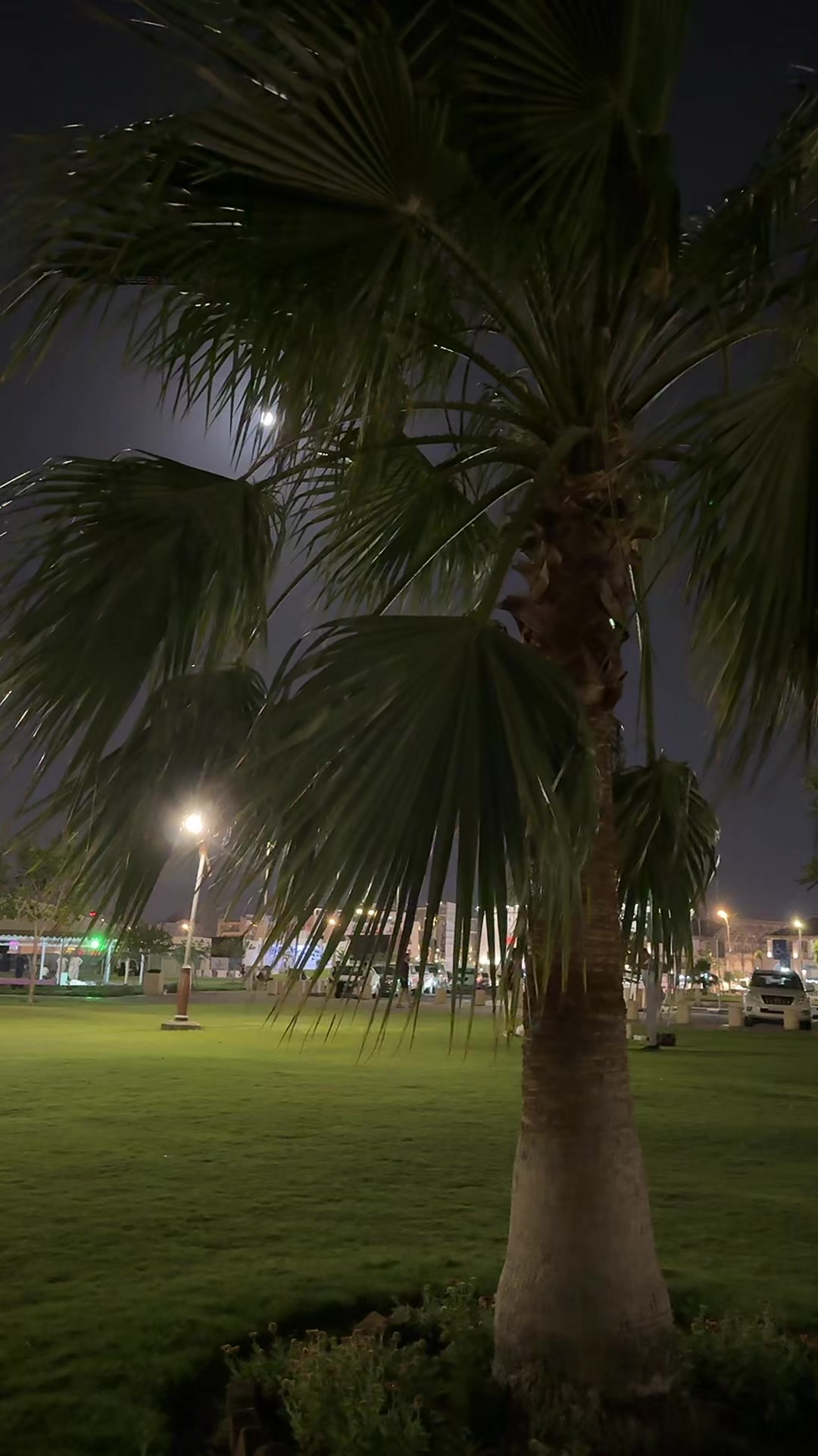@منيره التميمي🇸🇦عقارالرياض