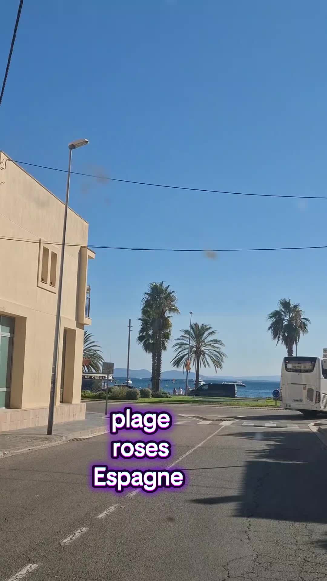 @momo