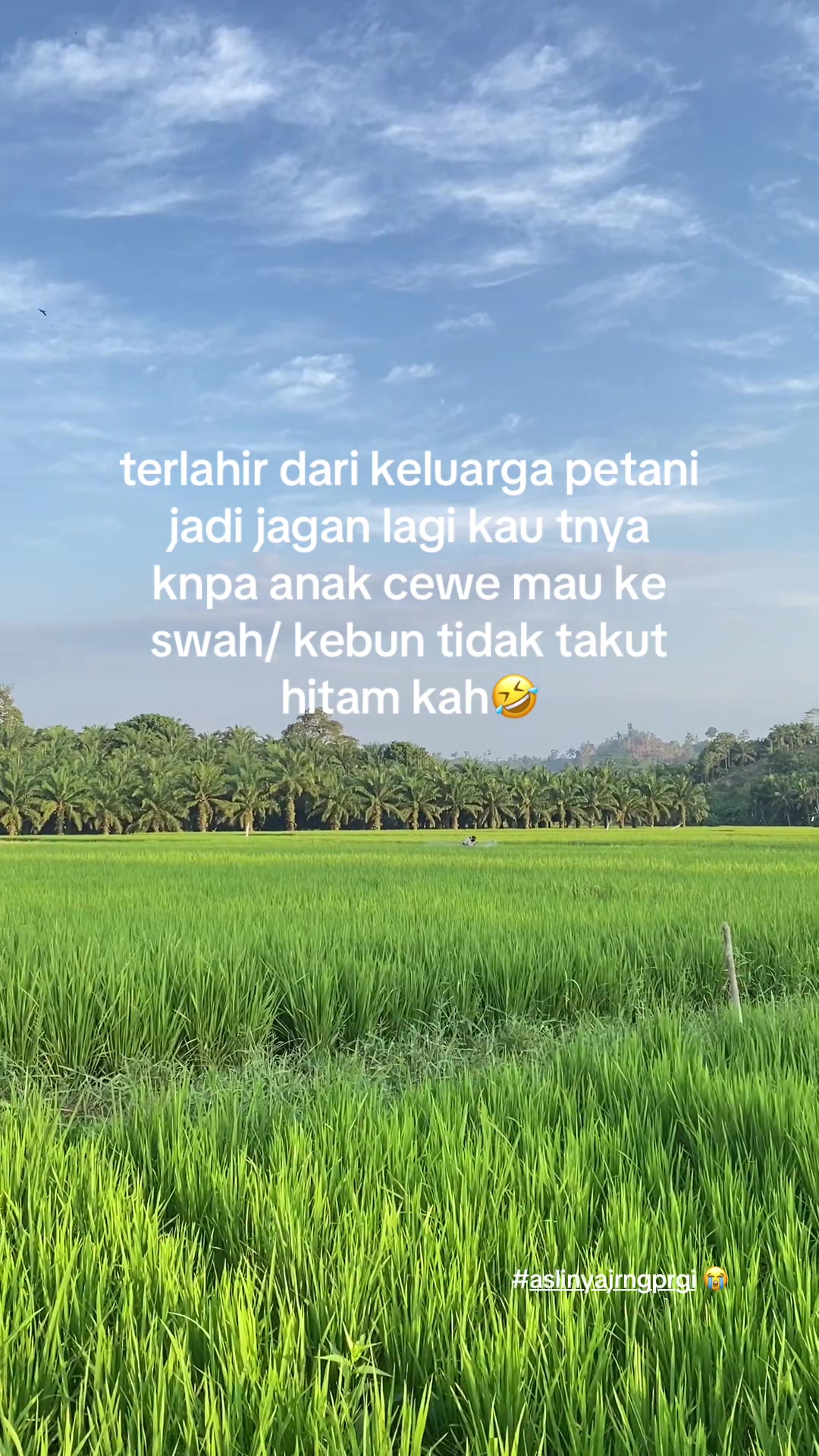 @rsmaa.🪷