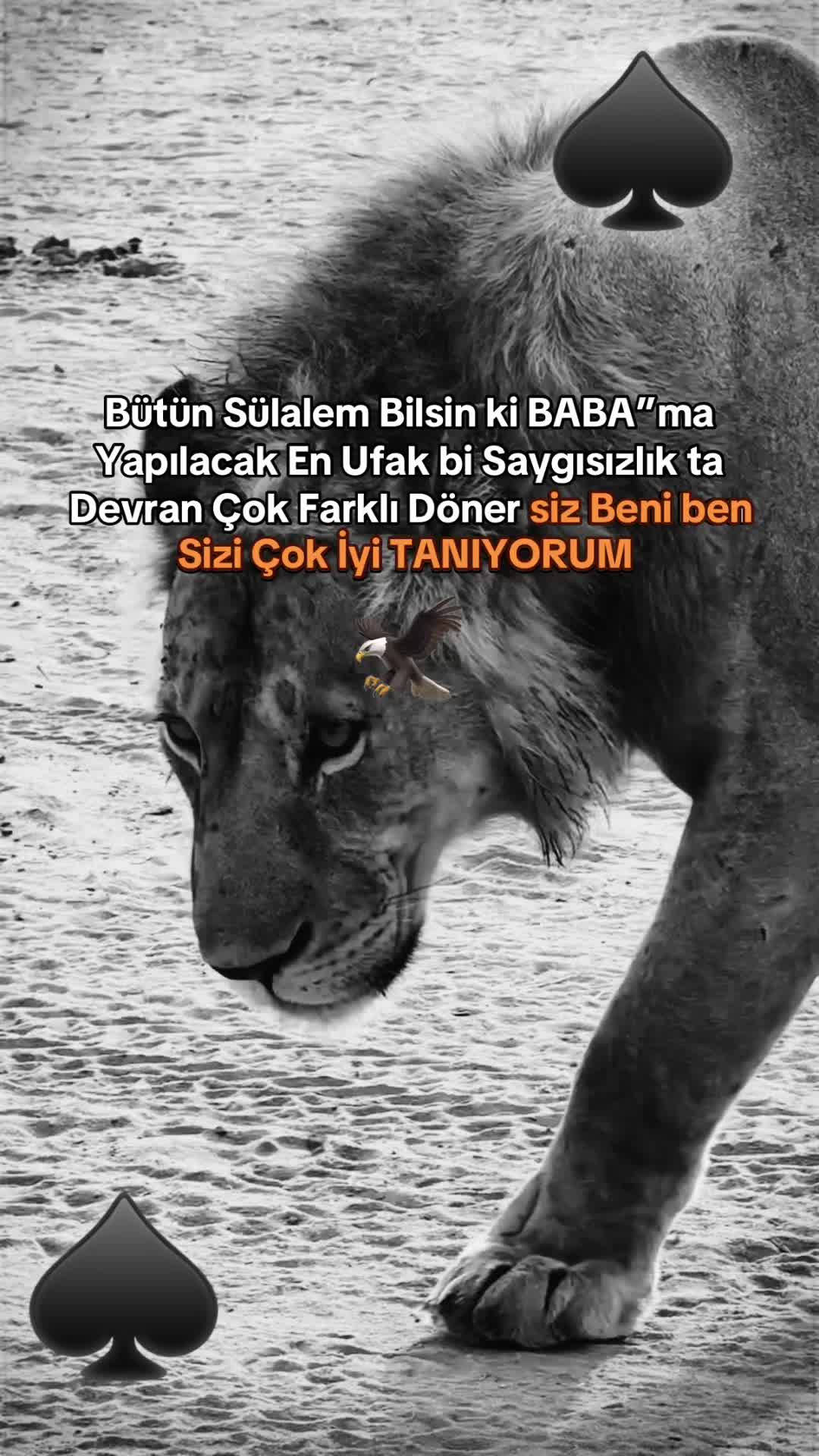 @çılgın 🚴♂️🧿