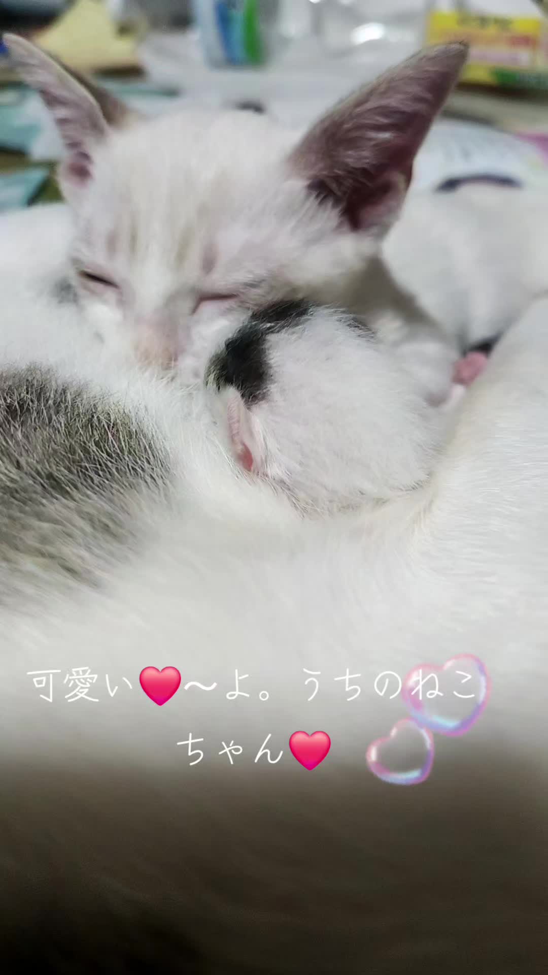 @宮尾美江