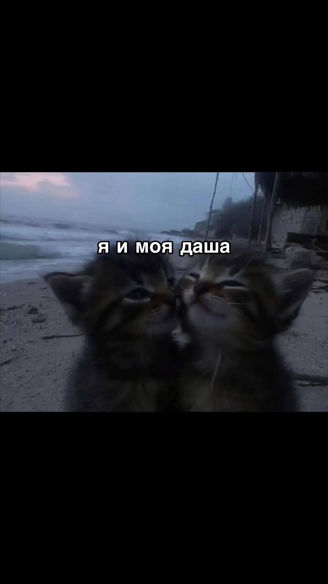 @люблю дашу