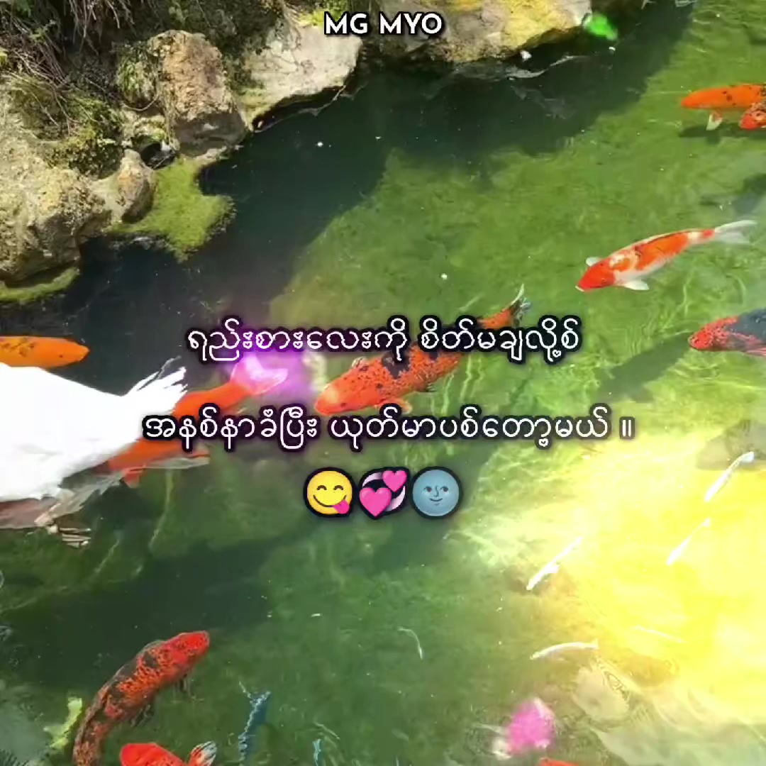 @✰ ᴍɢ ᴍʏᴏ ✰
