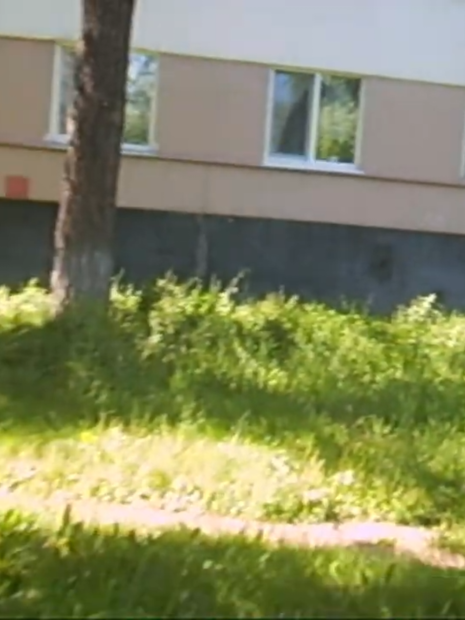 @Туманная поляна