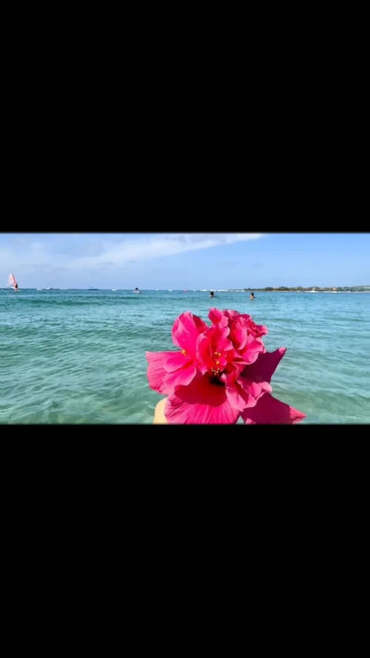 @Emanuela Proto