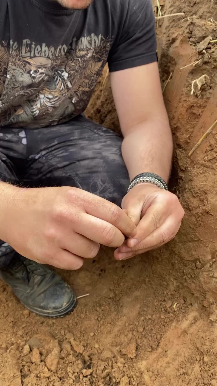 @Archaeologist 11