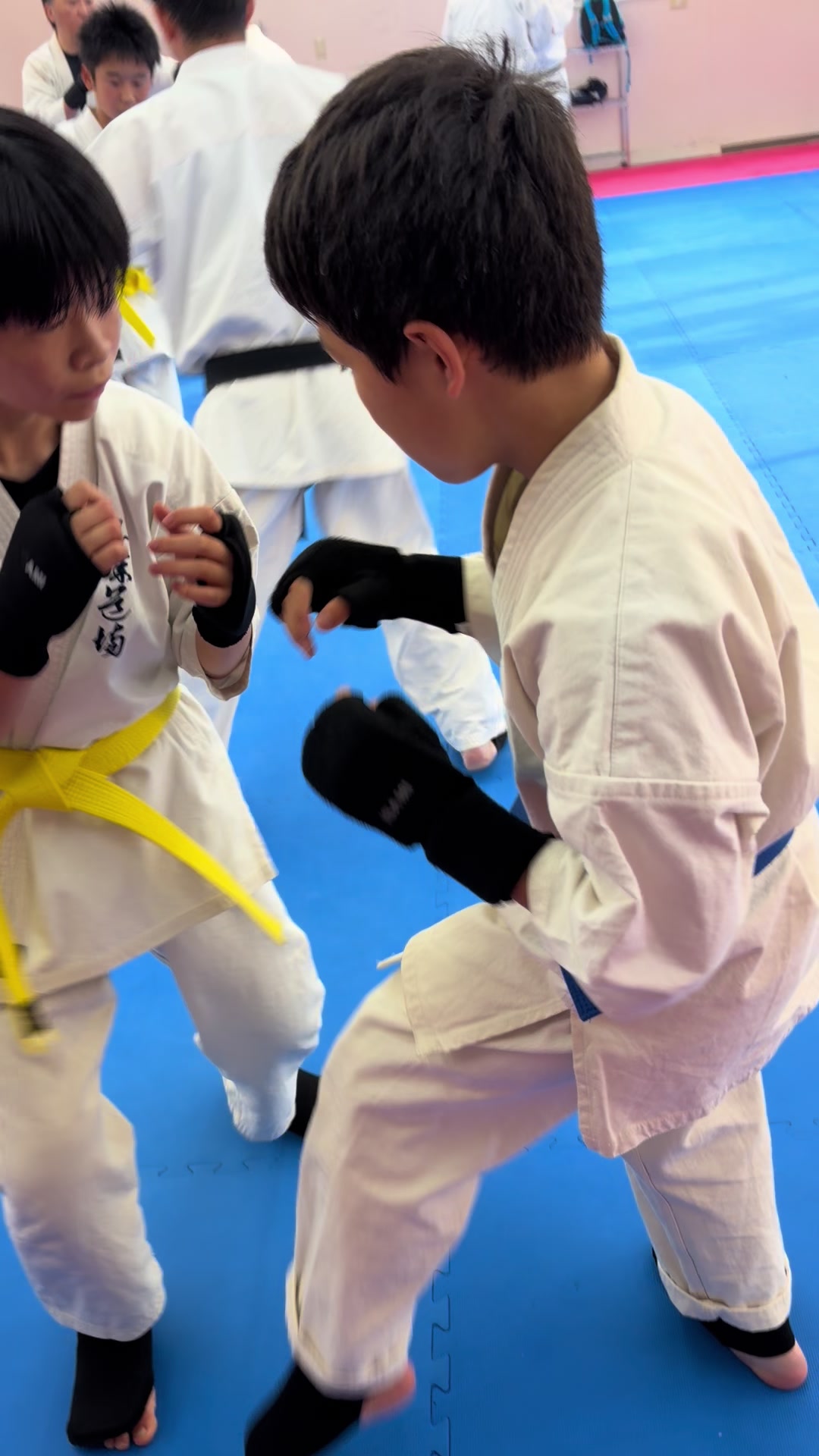 @kudodojo