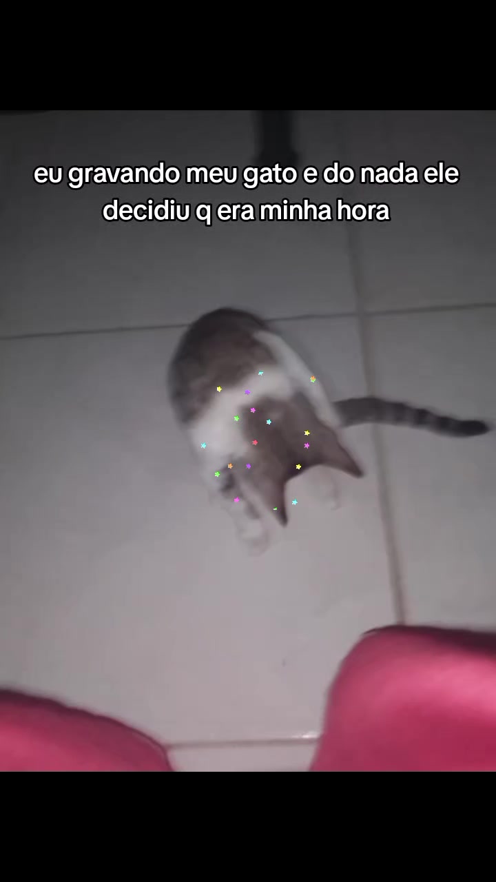 @୨୧˗ˏ✎ 𝓐𝓶𝓸𝓻𝓪 ˎ✎˗୨୧