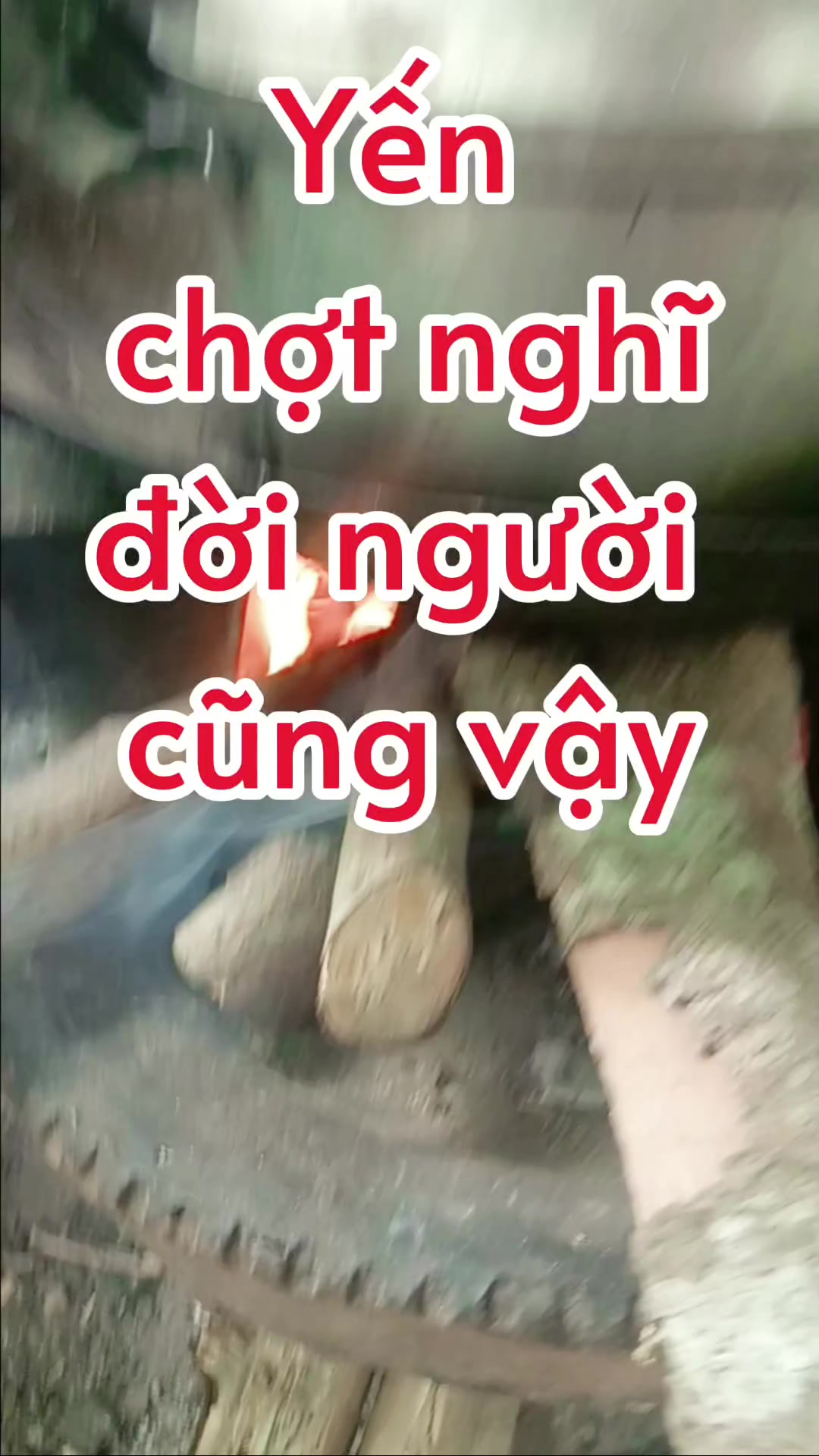 @Yến nhà quê