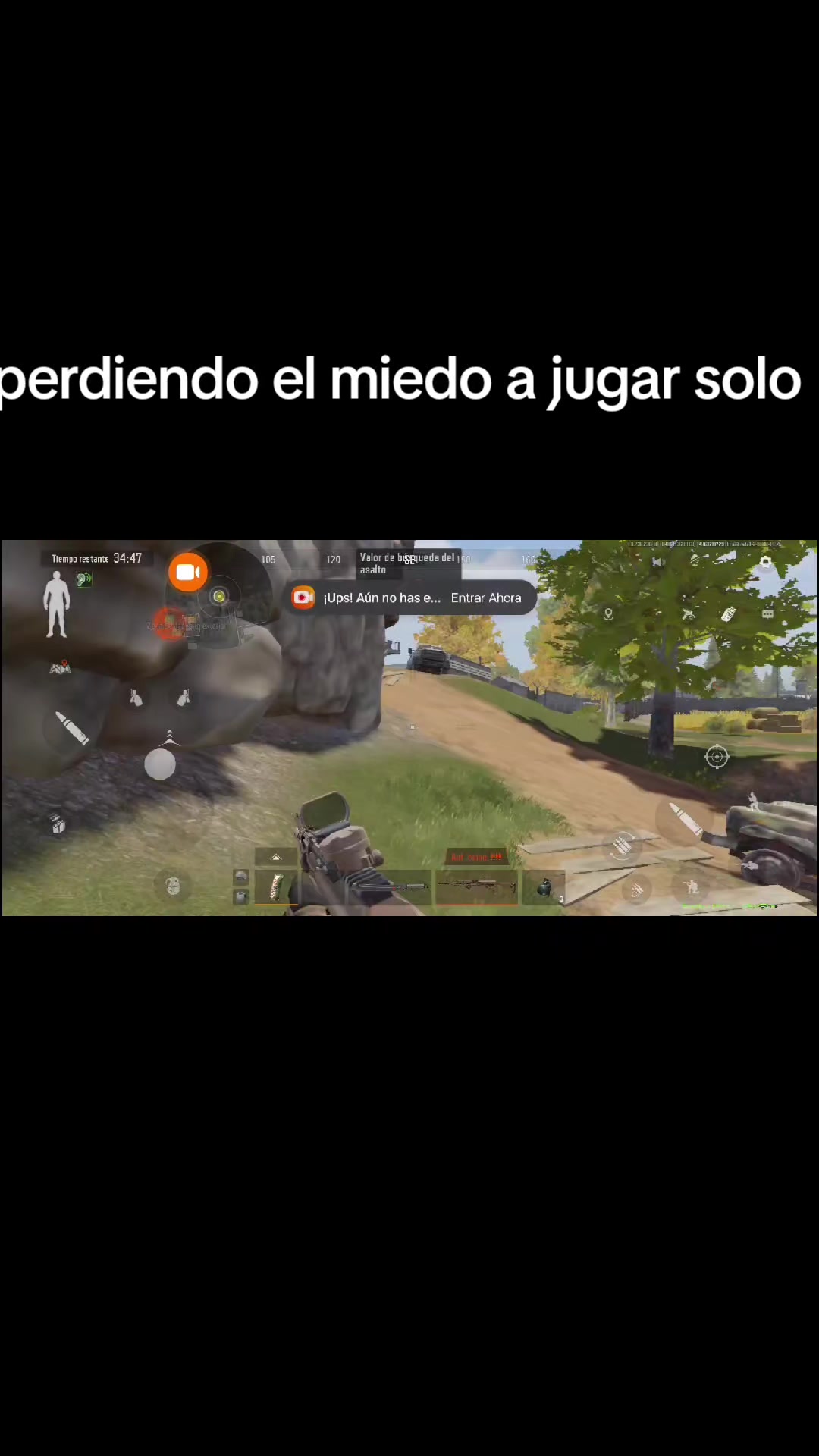 @gato de combate