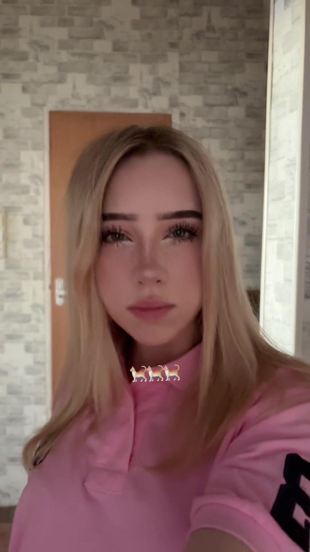 @стиша фак 🦫
