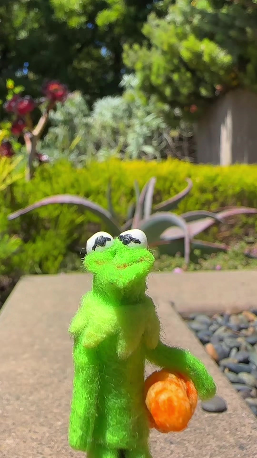 @🐸 Crashout Kermy 🐸