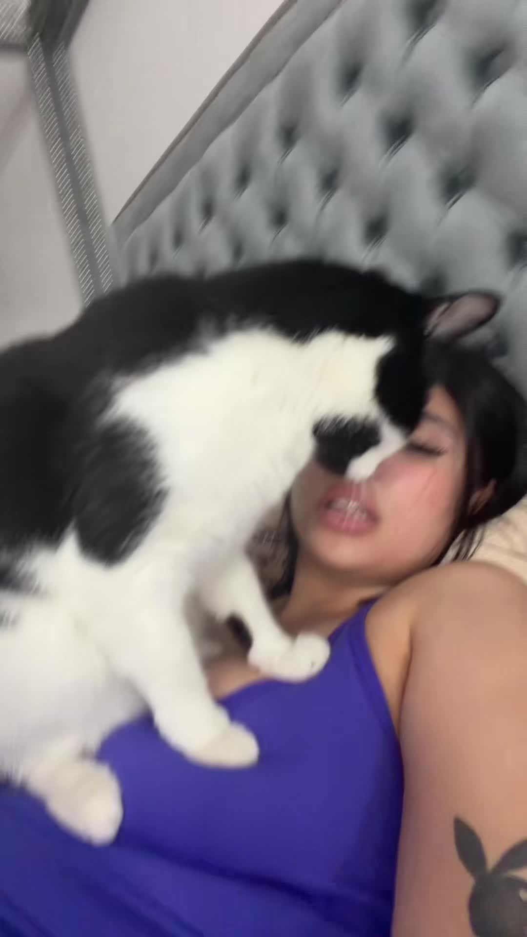 @Twitch.tv/notreiina