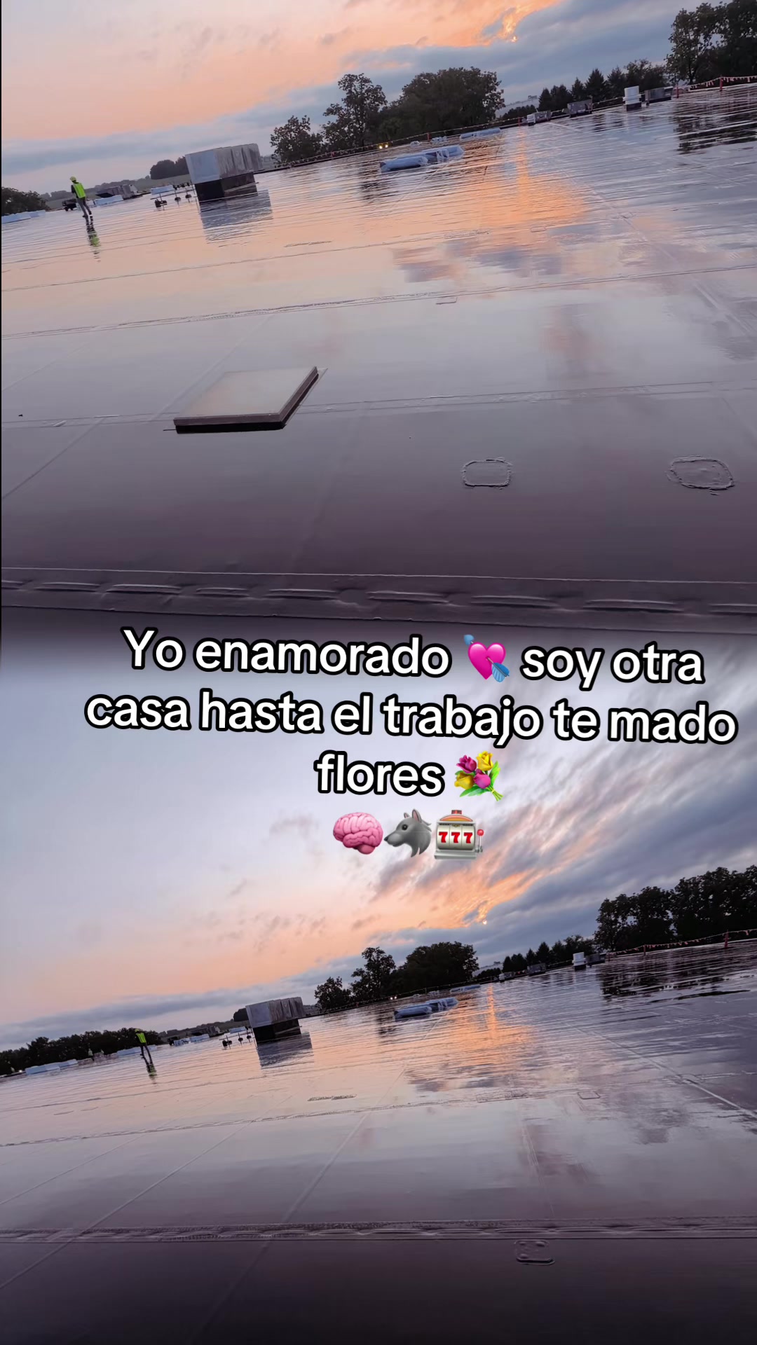 @Niko 777