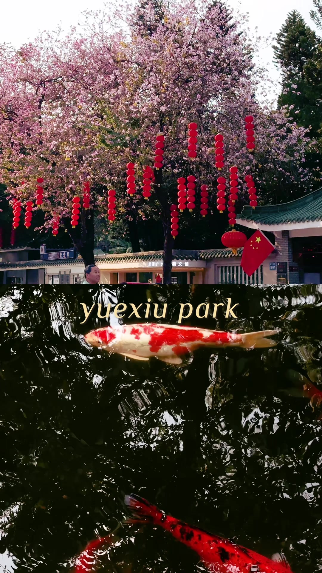 @Rui Gao 高睿