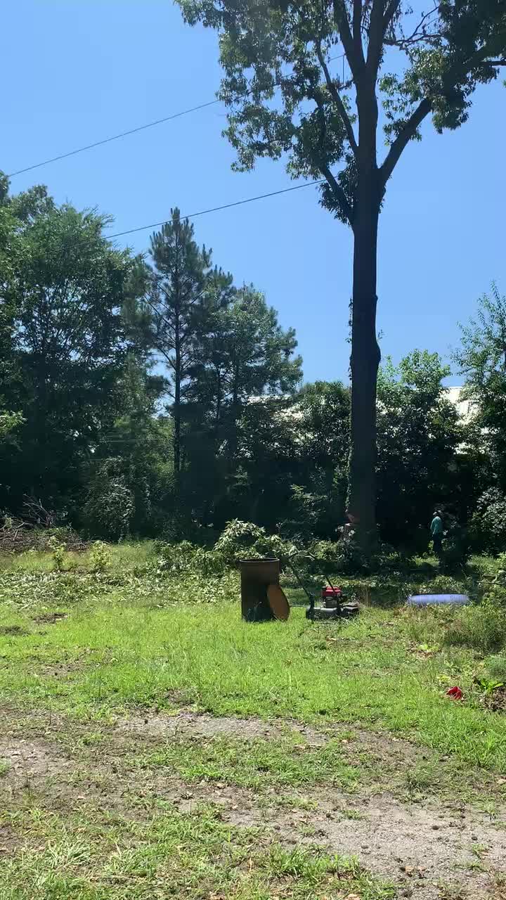 @R&G tree and landscaping