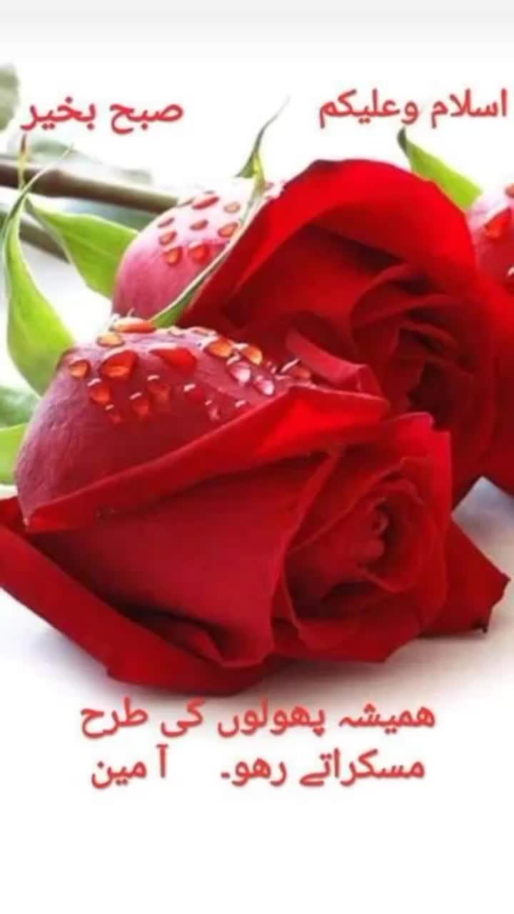 @Allah ki laadli🥰💯🫀