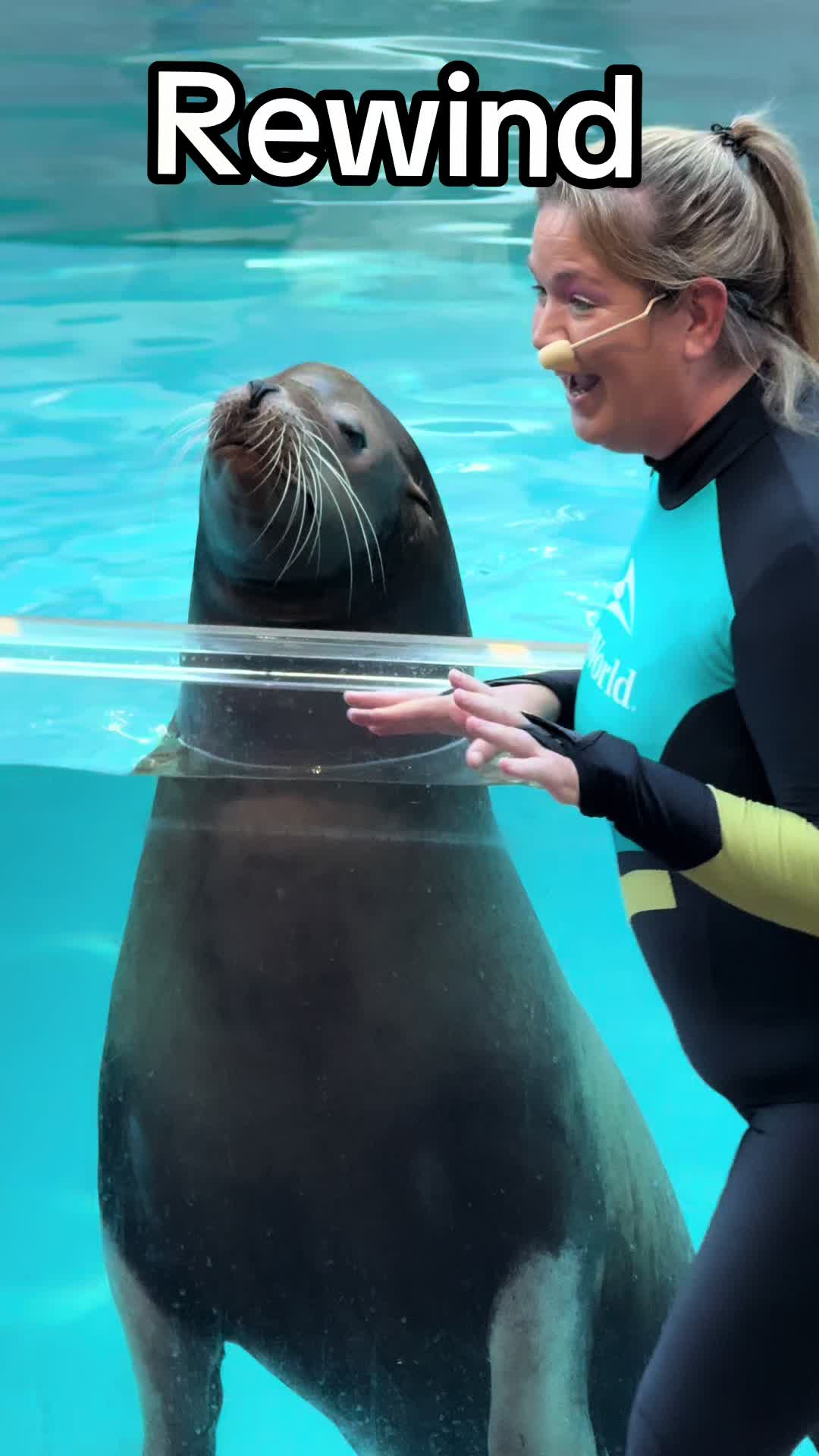 @OlivierSeaworld