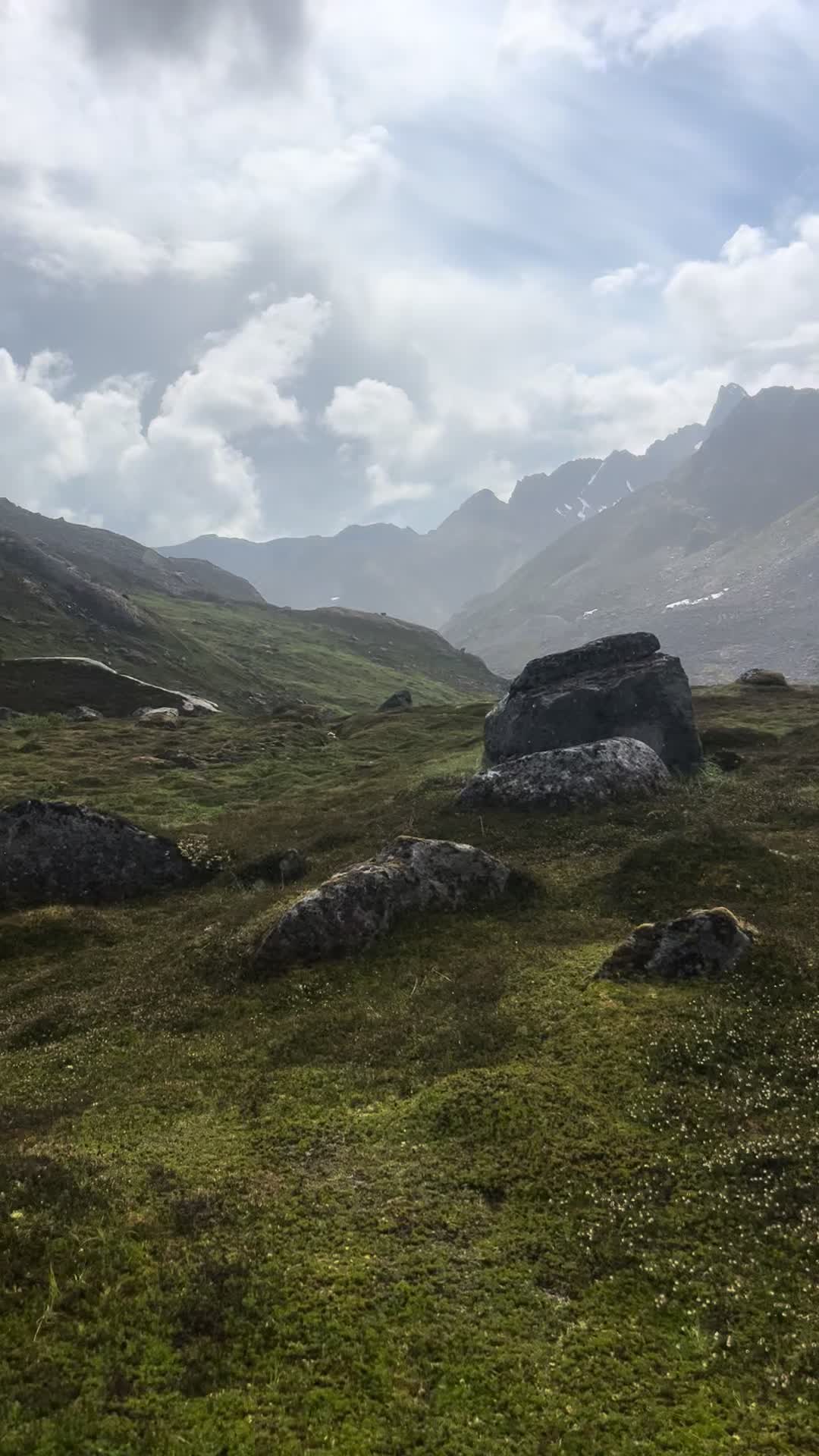 @Chasey Campbell 🏔️🕷️🐾