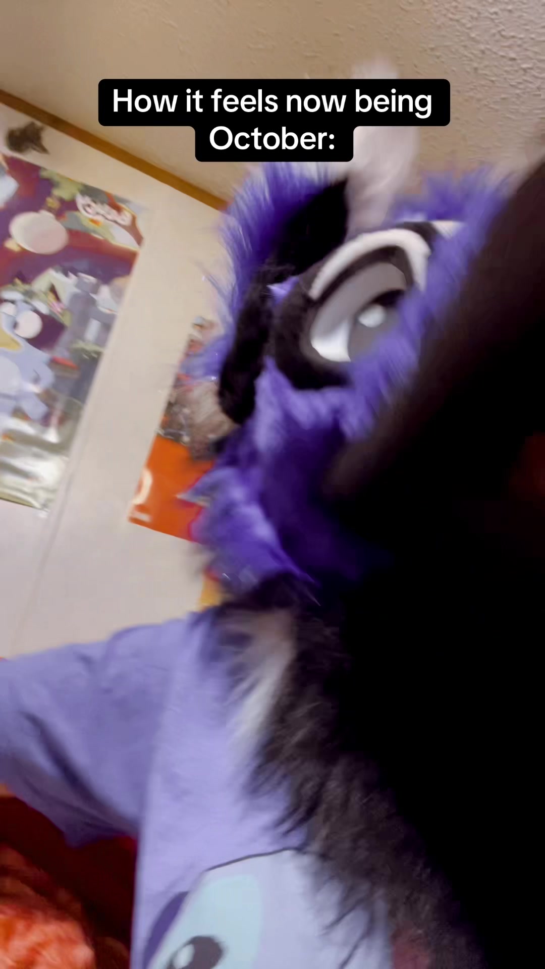 @dibmaniac