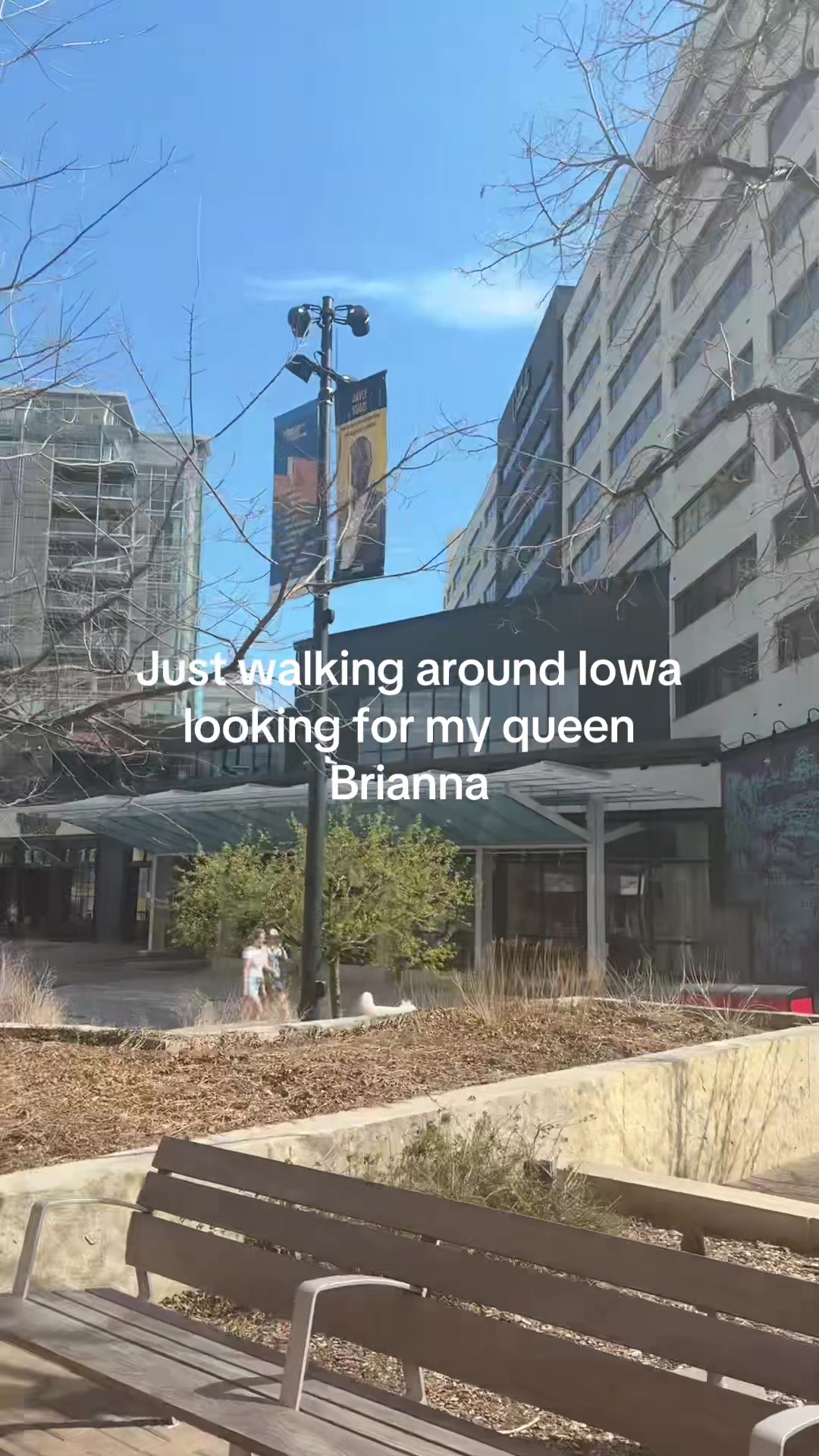 @jane teuber