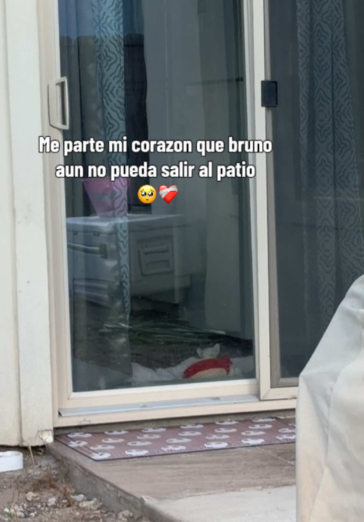 @Alexa Mercado