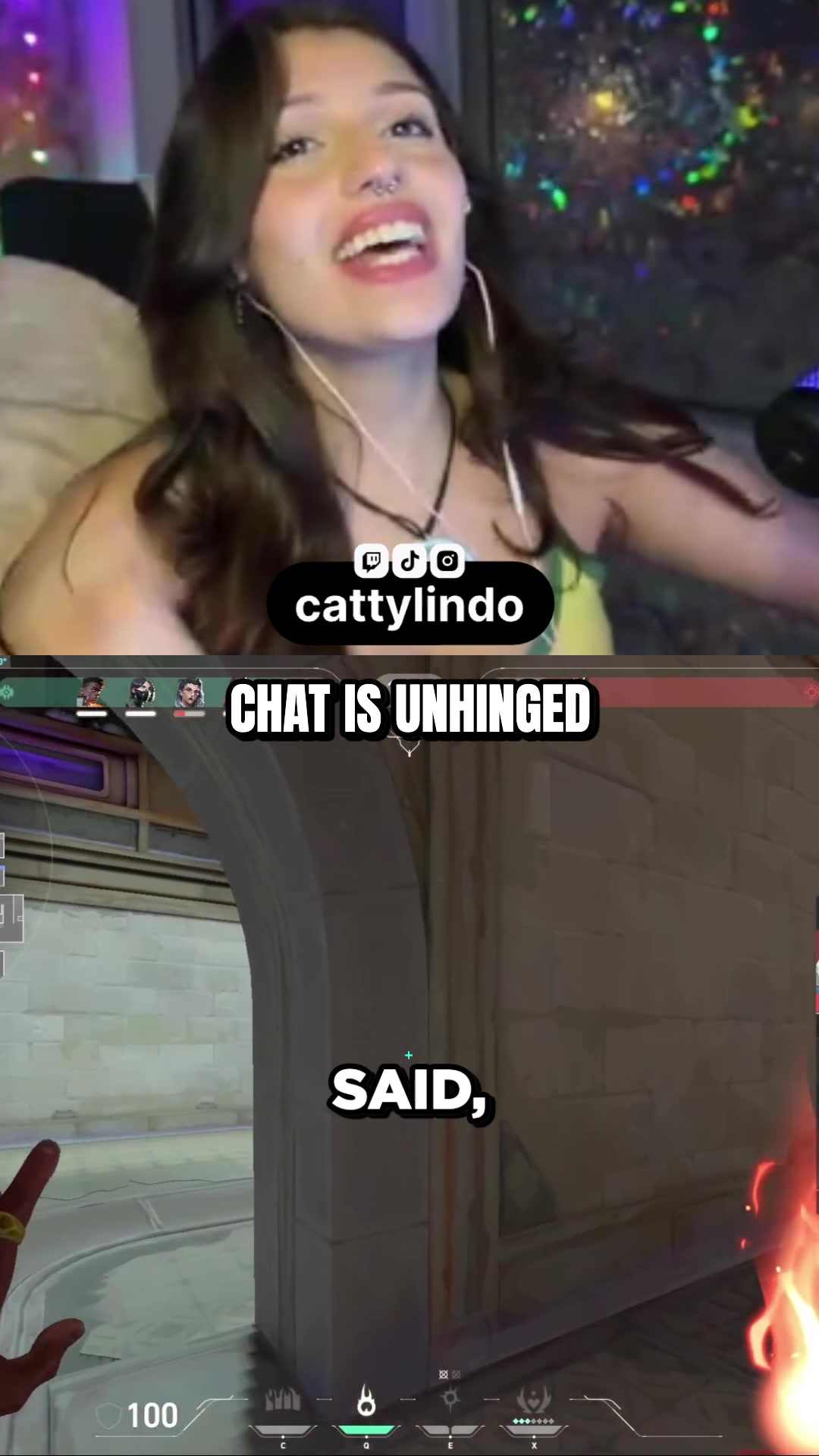 @cat ♡