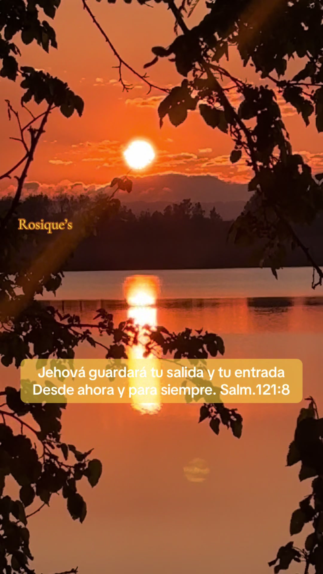 @Rosique NY