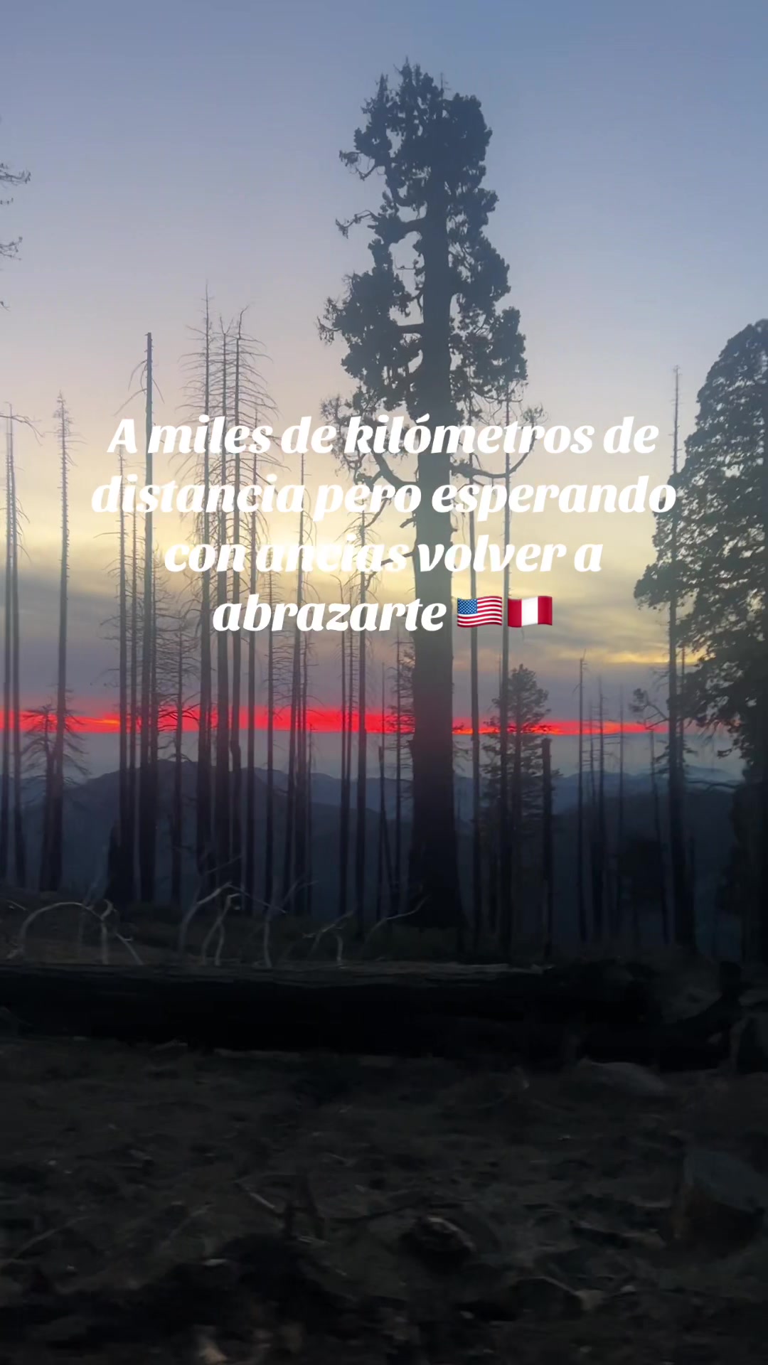 @Mafer🎀