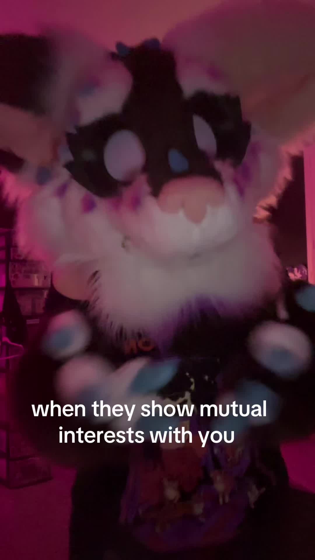@javalicious_