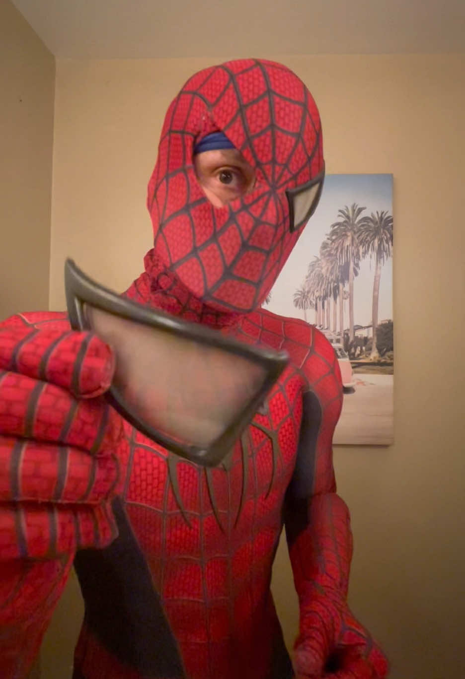 @Fun4spidey